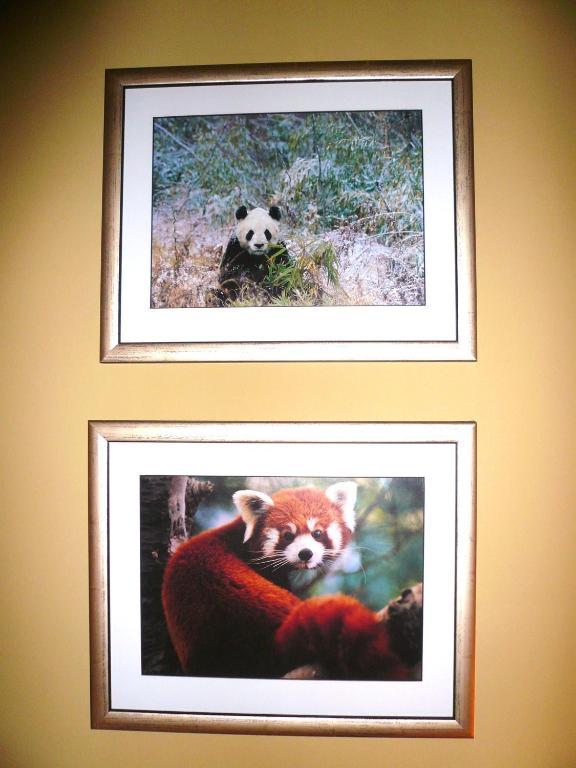 Panda Villa Эдинбург Экстерьер фото
